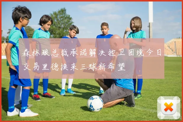 森林狼总裁承诺解决控卫困境今日交易里德换来三球新希望