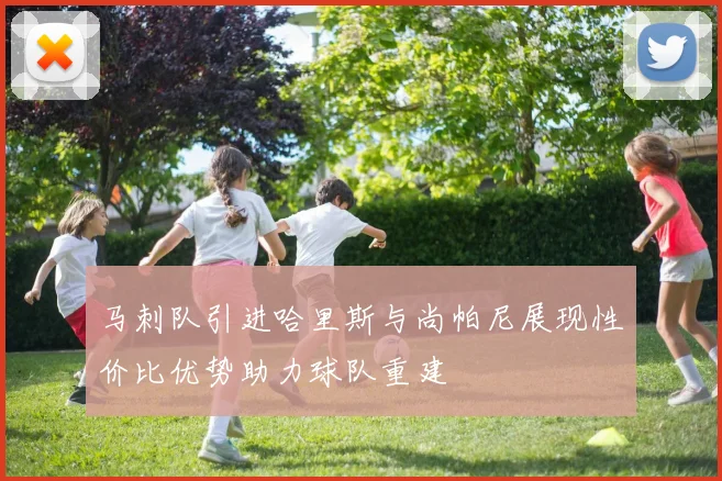 马刺队引进哈里斯与尚帕尼展现性价比优势助力球队重建